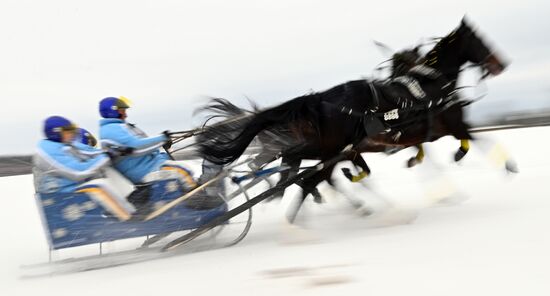 Russia Horse Drawn Sleighing Festival
