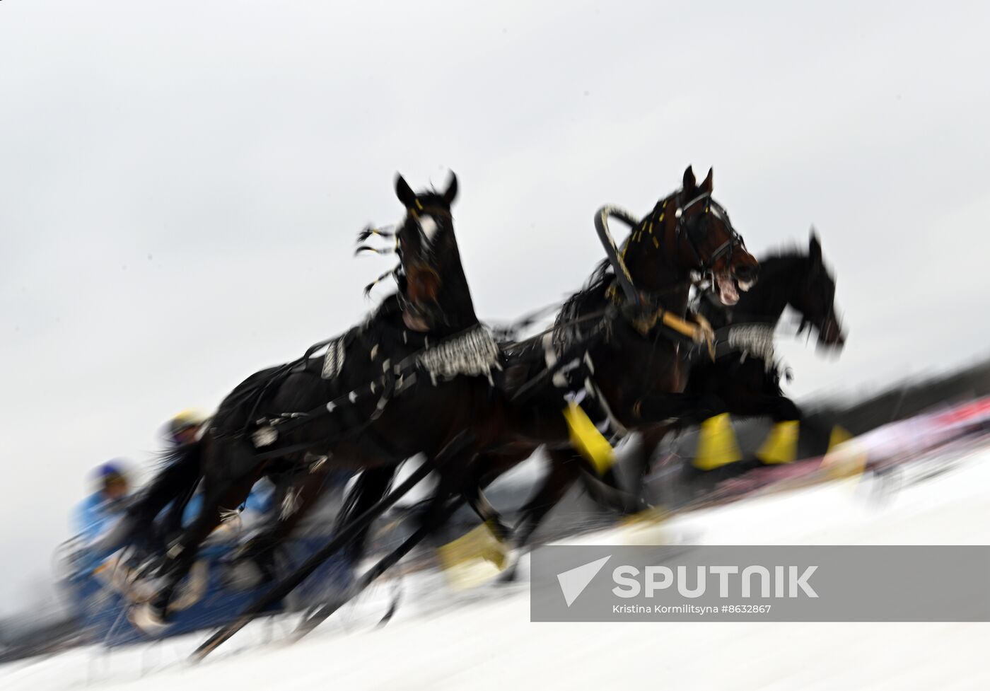 Russia Horse Drawn Sleighing Festival