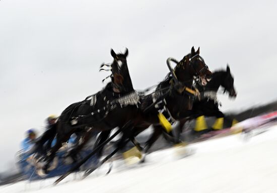 Russia Horse Drawn Sleighing Festival