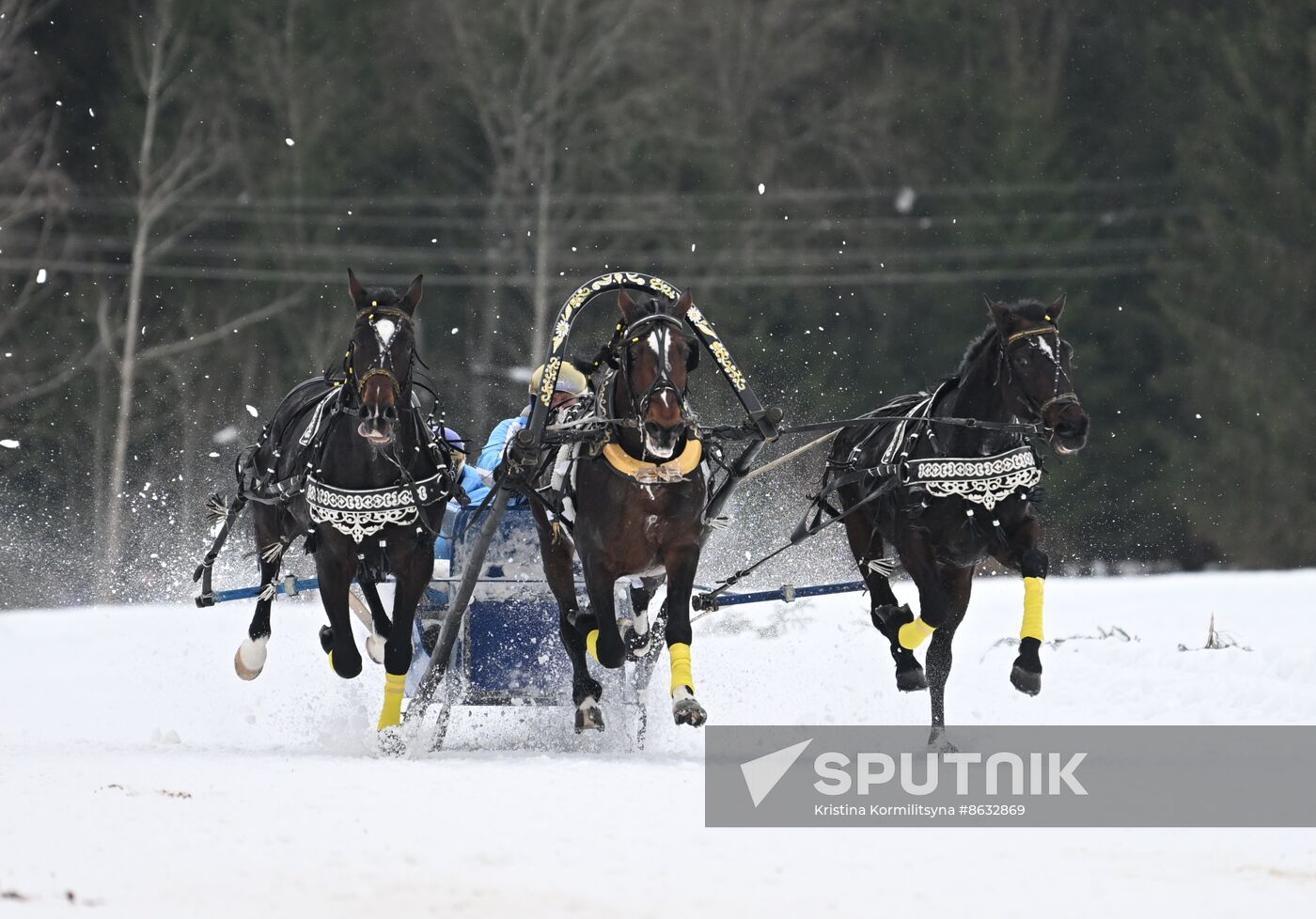 Russia Horse Drawn Sleighing Festival