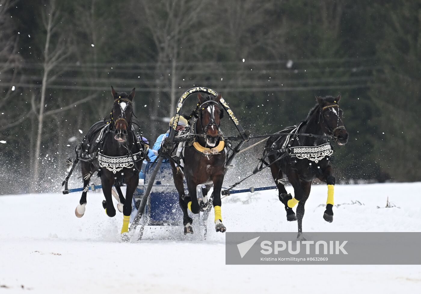 Russia Horse Drawn Sleighing Festival