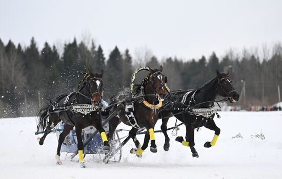 Russia Horse Drawn Sleighing Festival