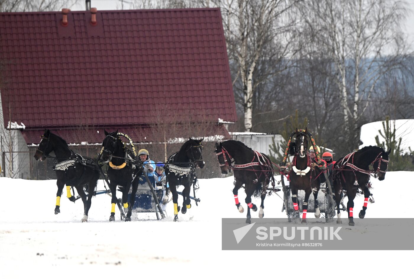 Russia Horse Drawn Sleighing Festival