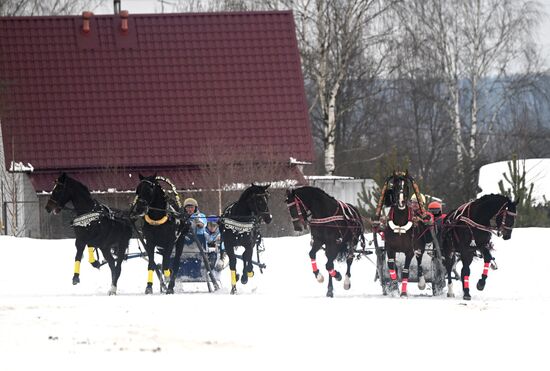 Russia Horse Drawn Sleighing Festival
