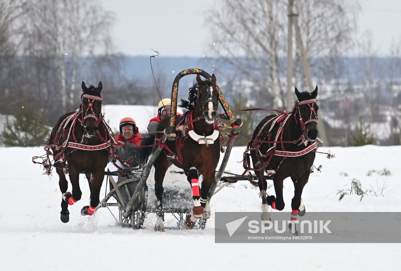 Russia Horse Drawn Sleighing Festival