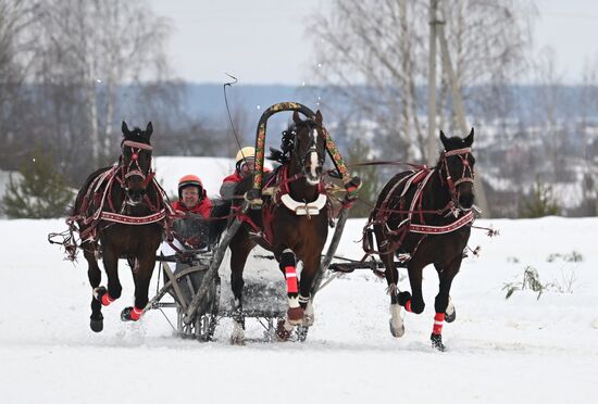 Russia Horse Drawn Sleighing Festival