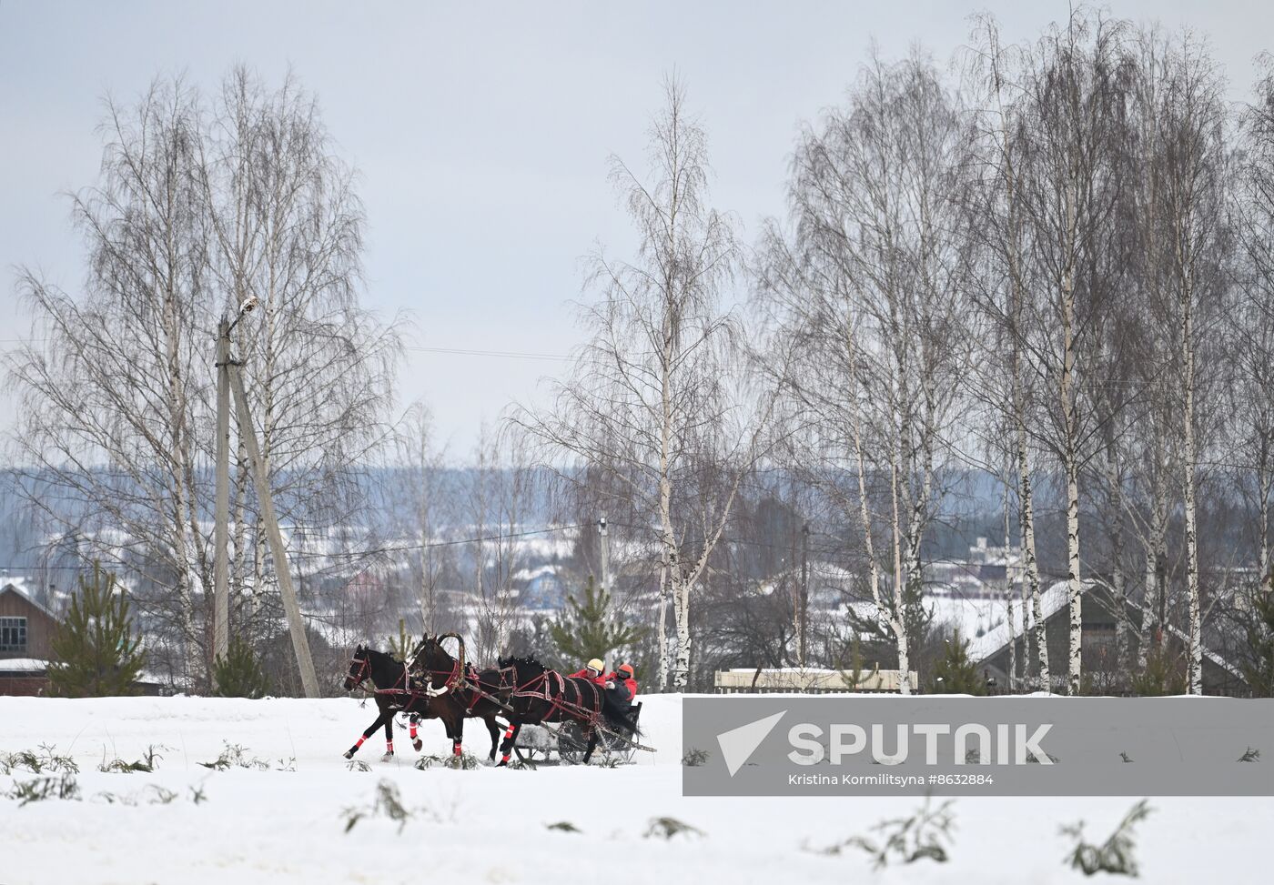 Russia Horse Drawn Sleighing Festival