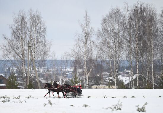 Russia Horse Drawn Sleighing Festival