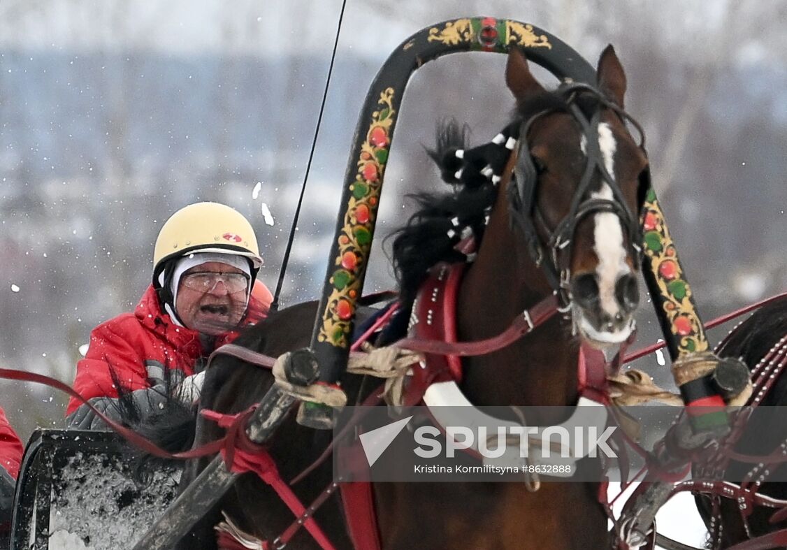 Russia Horse Drawn Sleighing Festival