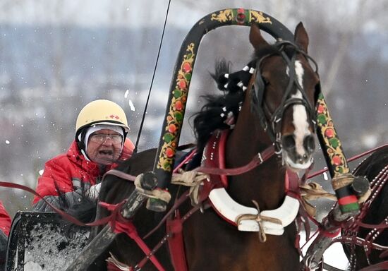 Russia Horse Drawn Sleighing Festival