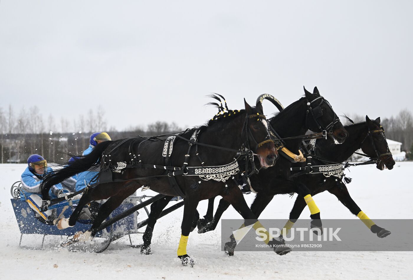 Russia Horse Drawn Sleighing Festival