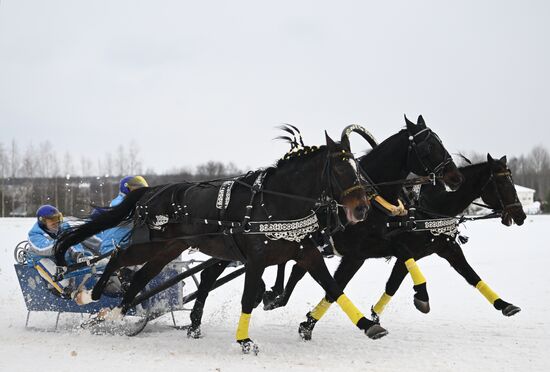Russia Horse Drawn Sleighing Festival