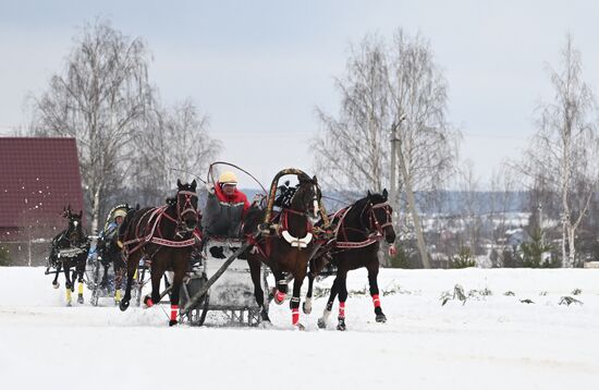 Russia Horse Drawn Sleighing Festival