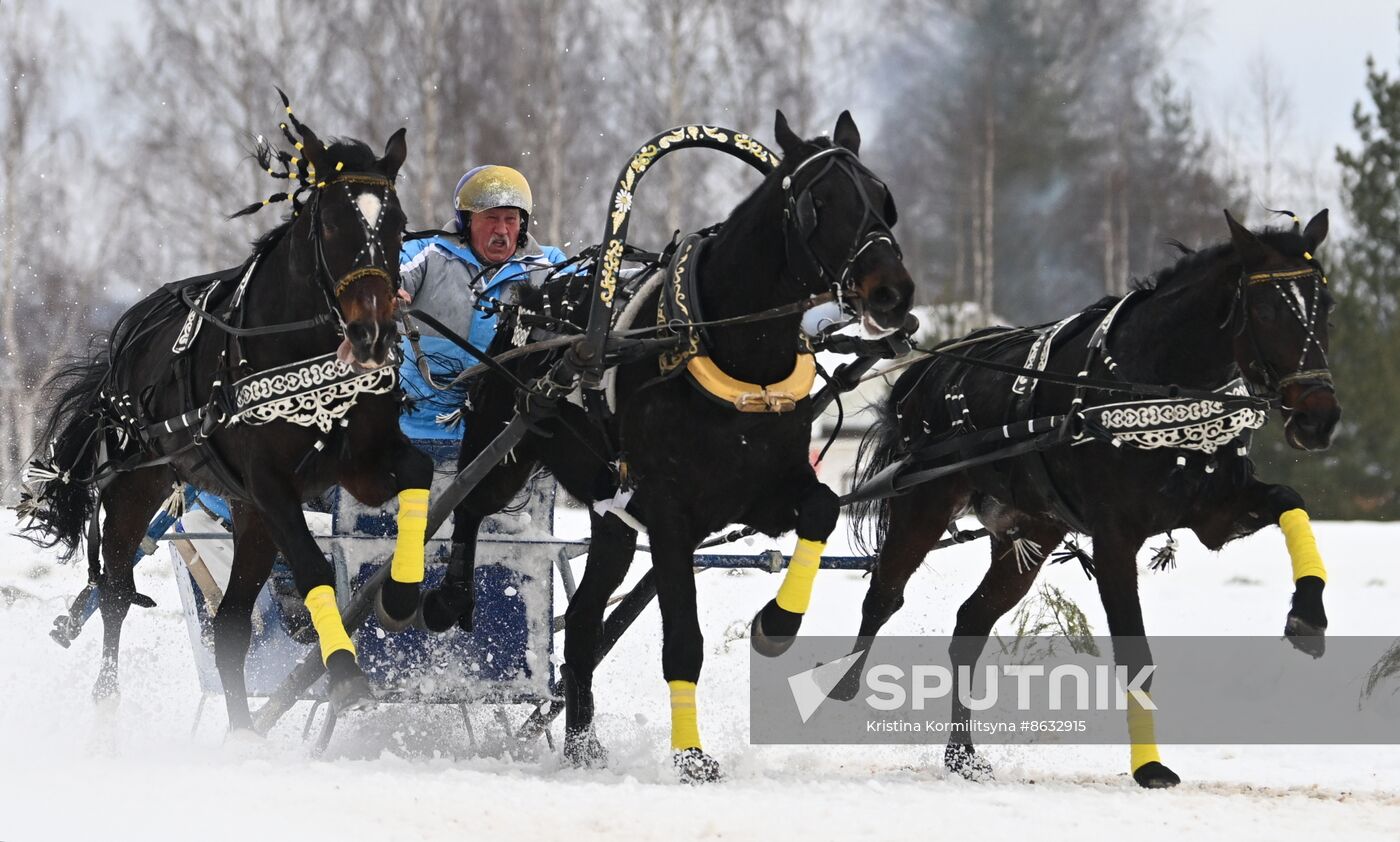 Russia Horse Drawn Sleighing Festival