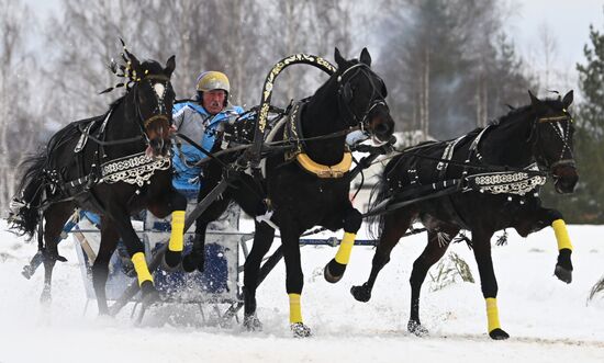 Russia Horse Drawn Sleighing Festival
