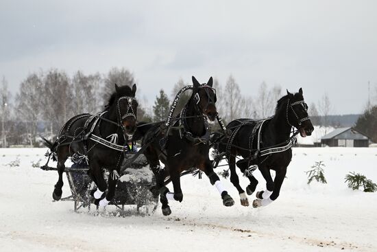 Russia Horse Drawn Sleighing Festival