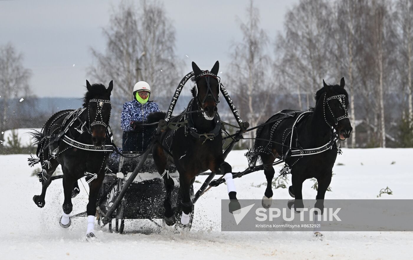 Russia Horse Drawn Sleighing Festival