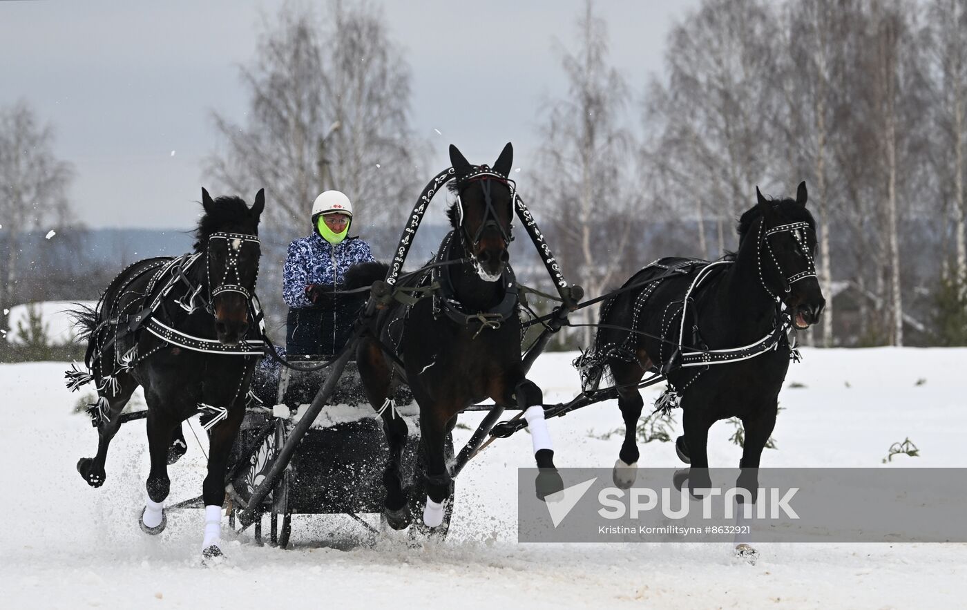 Russia Horse Drawn Sleighing Festival
