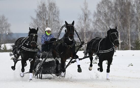 Russia Horse Drawn Sleighing Festival