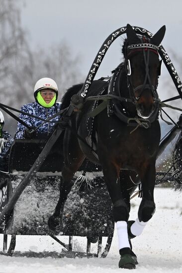 Russia Horse Drawn Sleighing Festival