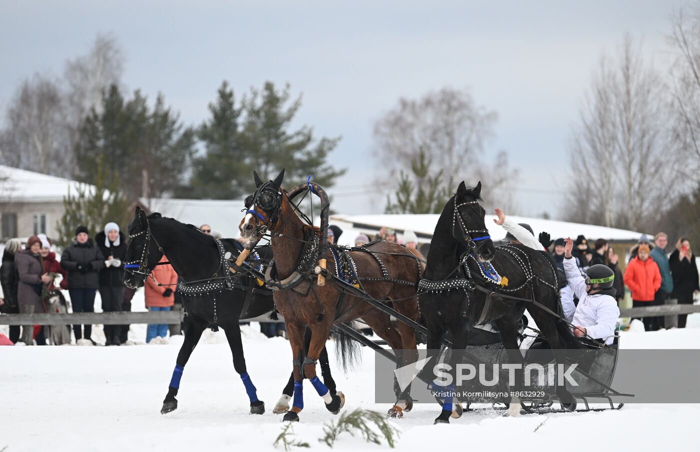 Russia Horse Drawn Sleighing Festival
