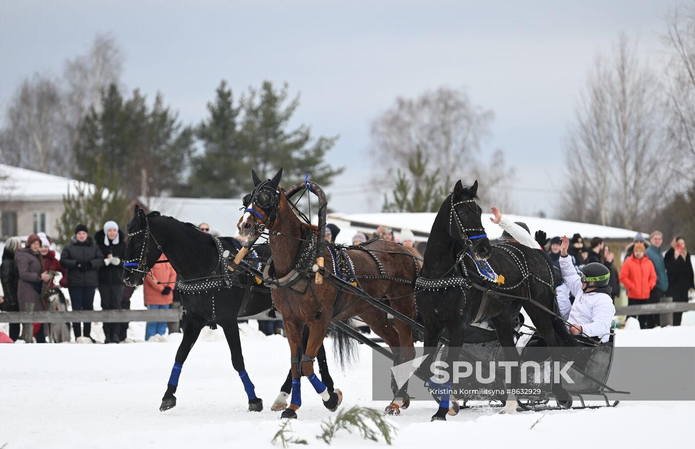 Russia Horse Drawn Sleighing Festival