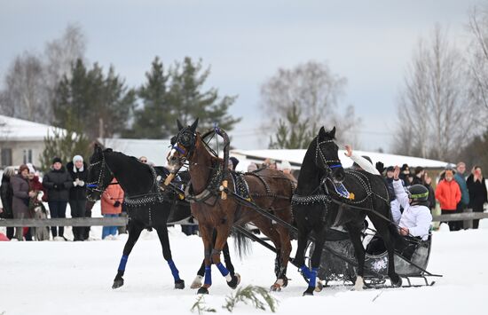 Russia Horse Drawn Sleighing Festival