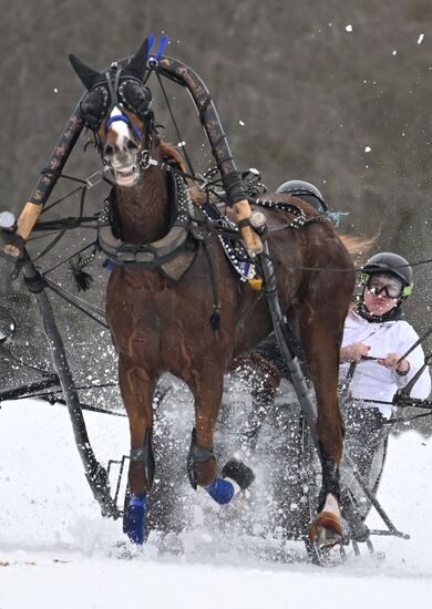 Russia Horse Drawn Sleighing Festival