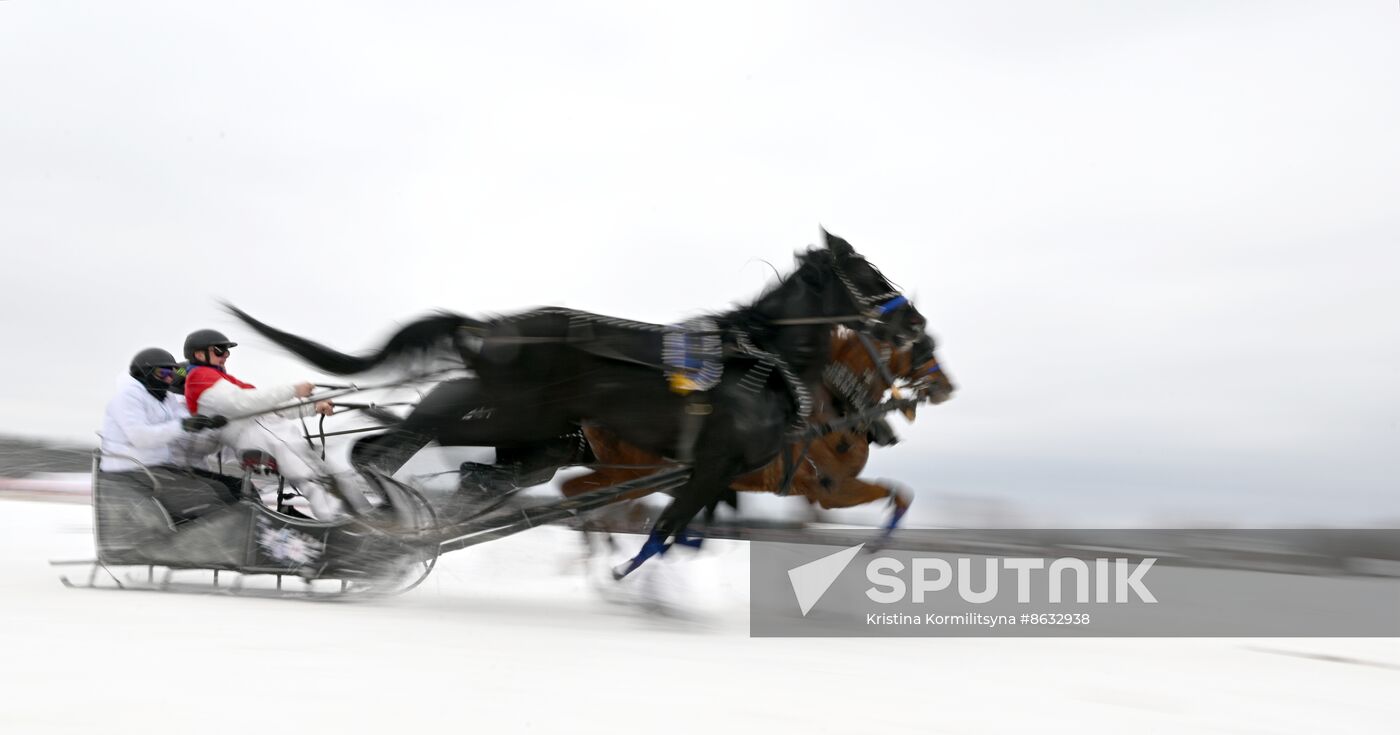 Russia Horse Drawn Sleighing Festival