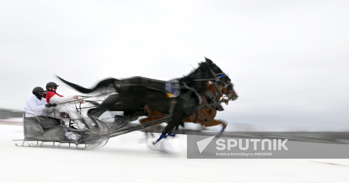 Russia Horse Drawn Sleighing Festival