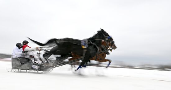 Russia Horse Drawn Sleighing Festival