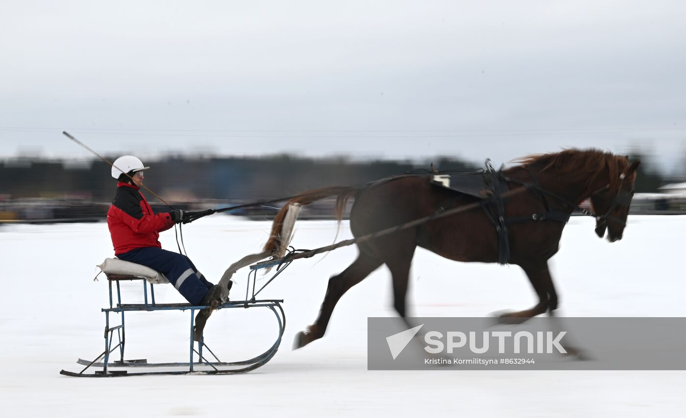 Russia Horse Drawn Sleighing Festival