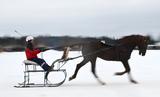 Russia Horse Drawn Sleighing Festival