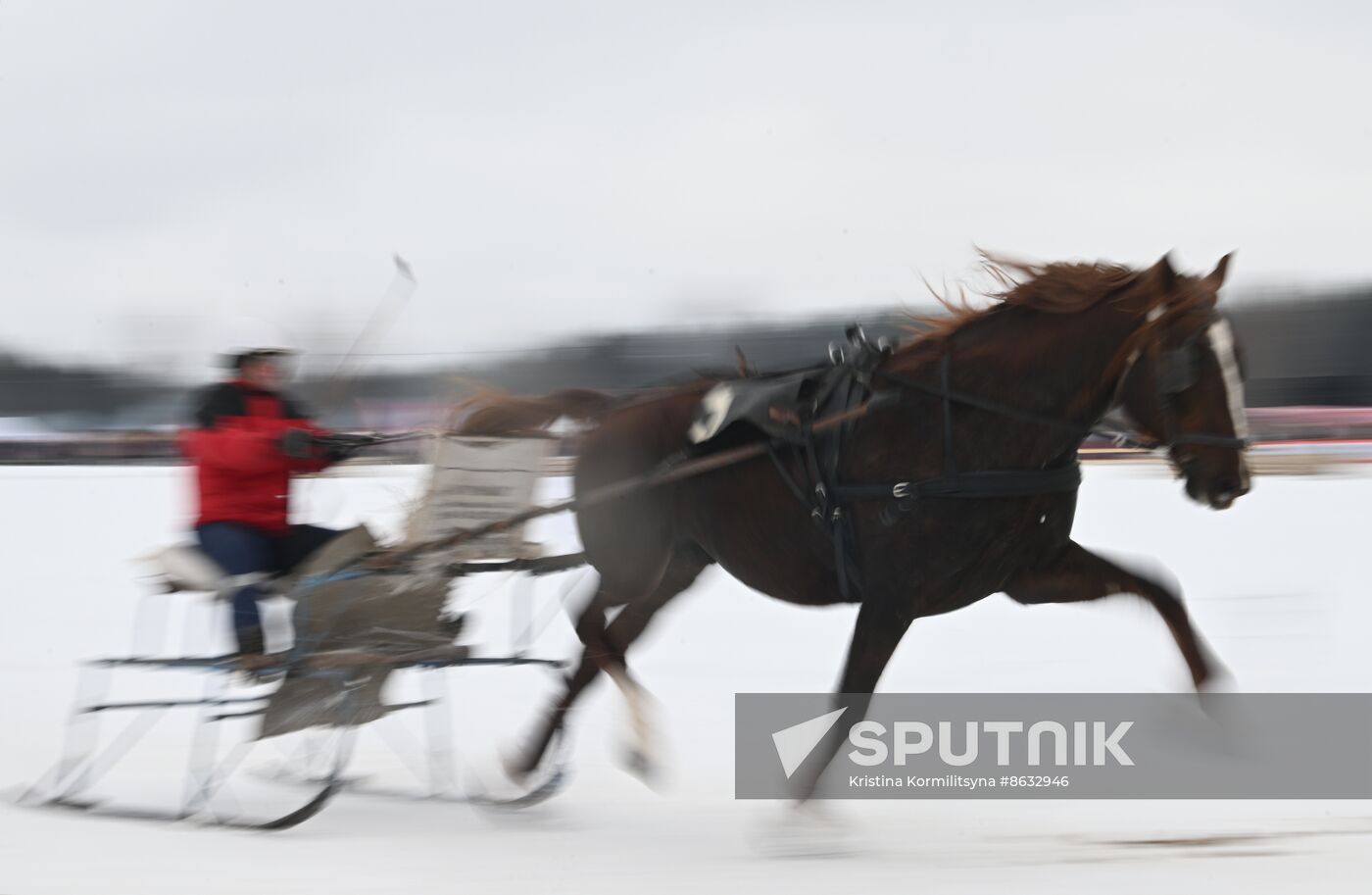 Russia Horse Drawn Sleighing Festival