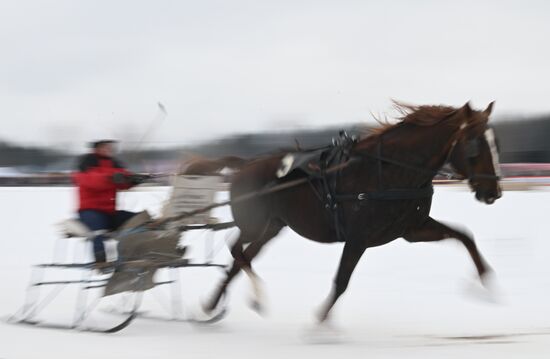 Russia Horse Drawn Sleighing Festival