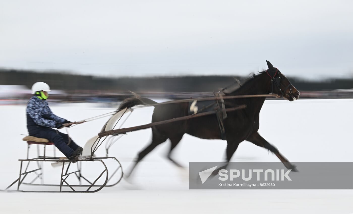 Russia Horse Drawn Sleighing Festival