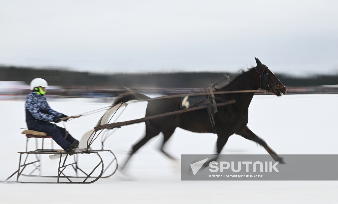 Russia Horse Drawn Sleighing Festival