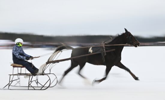 Russia Horse Drawn Sleighing Festival