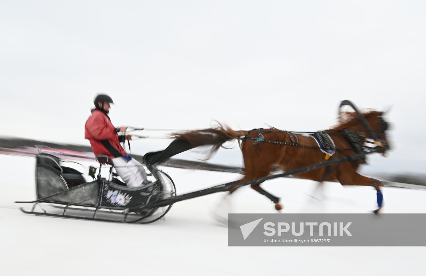 Russia Horse Drawn Sleighing Festival