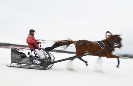 Russia Horse Drawn Sleighing Festival