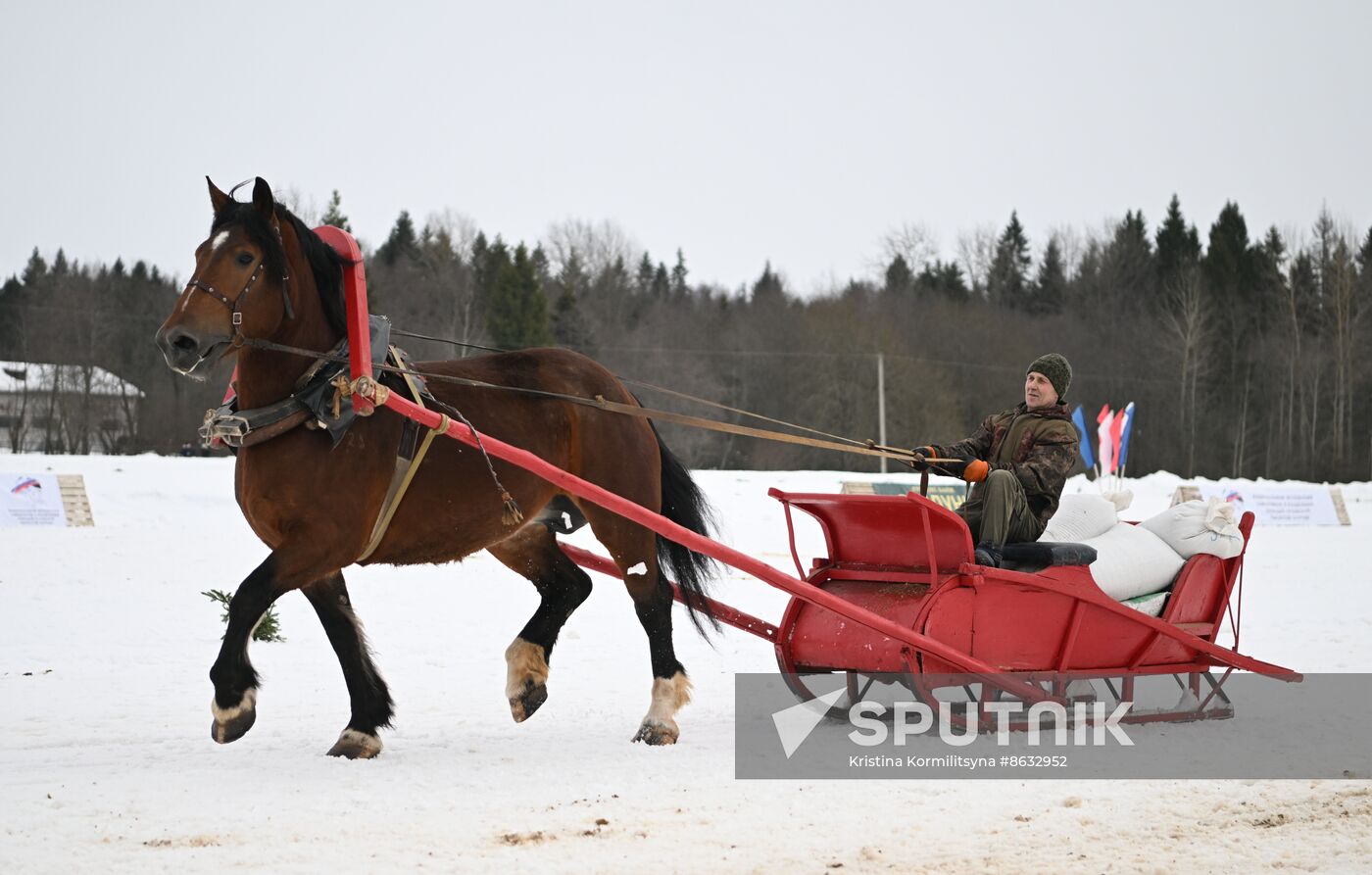 Russia Horse Drawn Sleighing Festival