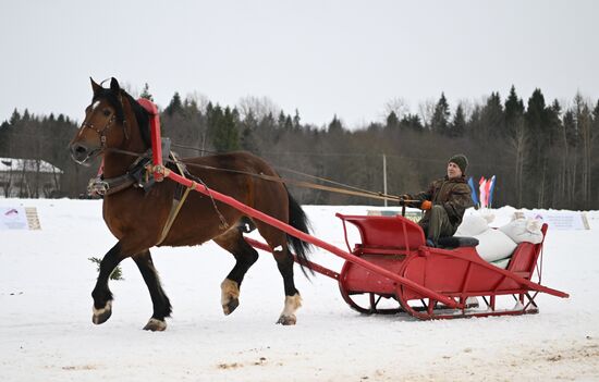Russia Horse Drawn Sleighing Festival