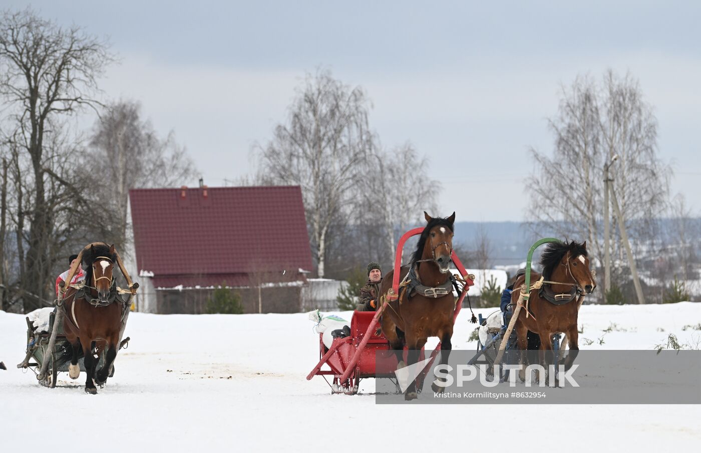Russia Horse Drawn Sleighing Festival