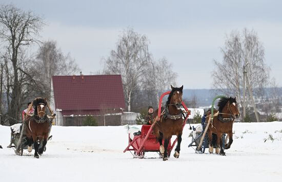 Russia Horse Drawn Sleighing Festival