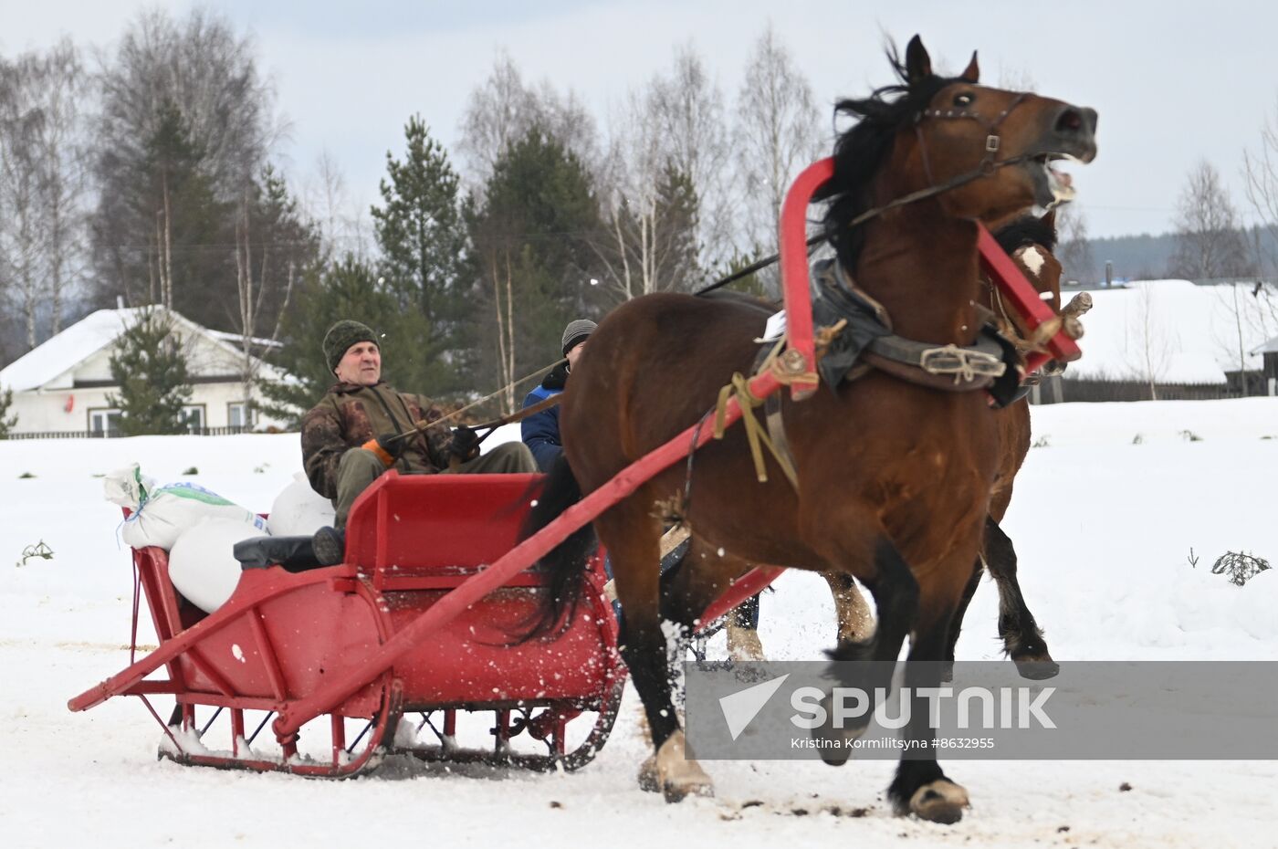 Russia Horse Drawn Sleighing Festival