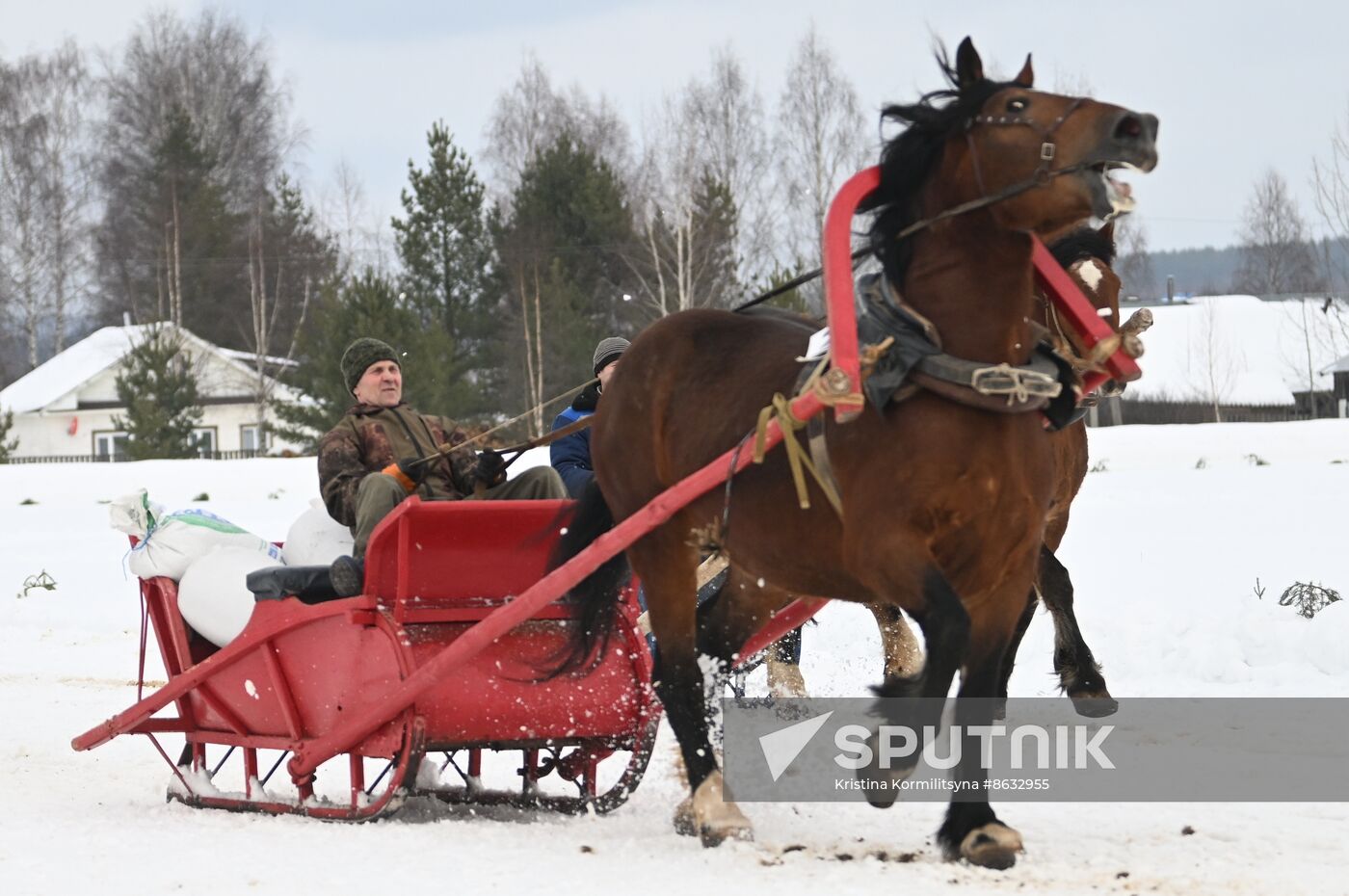 Russia Horse Drawn Sleighing Festival