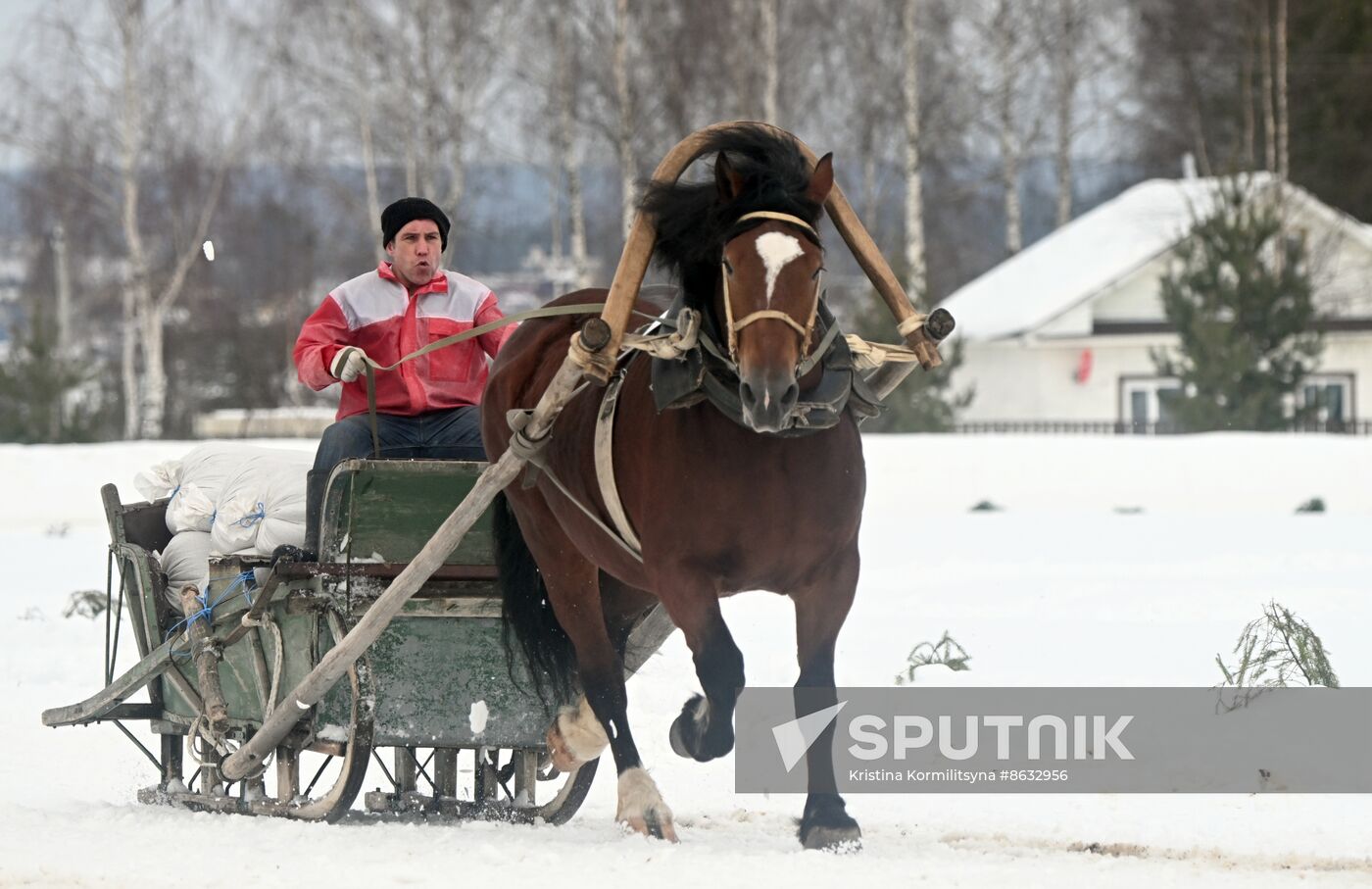 Russia Horse Drawn Sleighing Festival