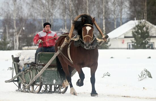 Russia Horse Drawn Sleighing Festival