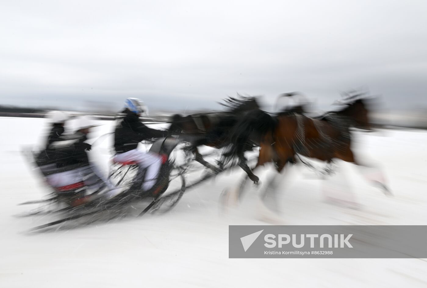 Russia Horse Drawn Sleighing Festival