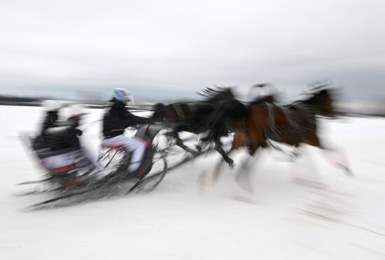 Russia Horse Drawn Sleighing Festival